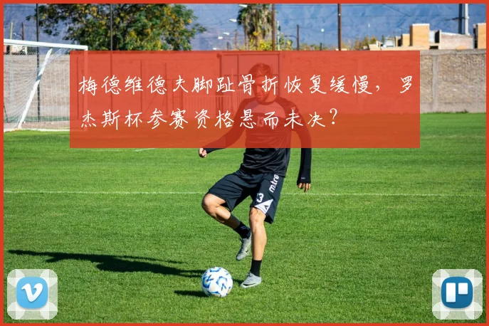 梅德维德夫脚趾骨折恢复缓慢，罗杰斯杯参赛资格悬而未决？